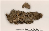 藏品(網梅衣)的圖片